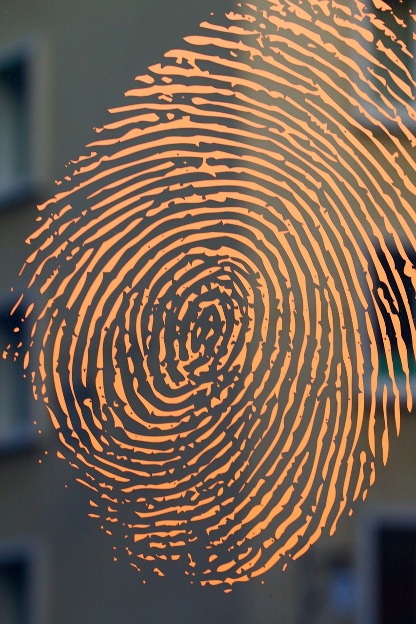 Image of an digital fingerprint