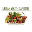 urbanyouthgardensthumb