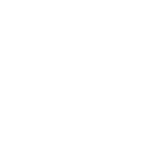 ballot