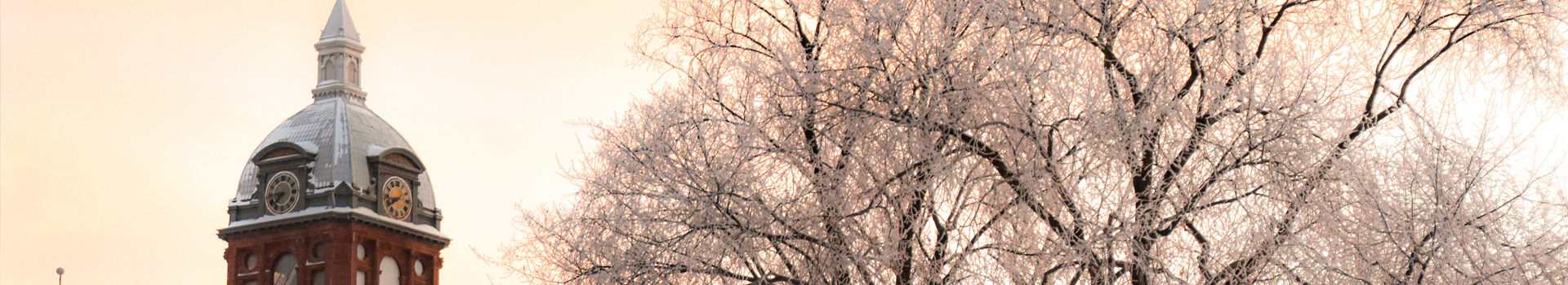 Banner image of the Cass County Courthouse in the winter