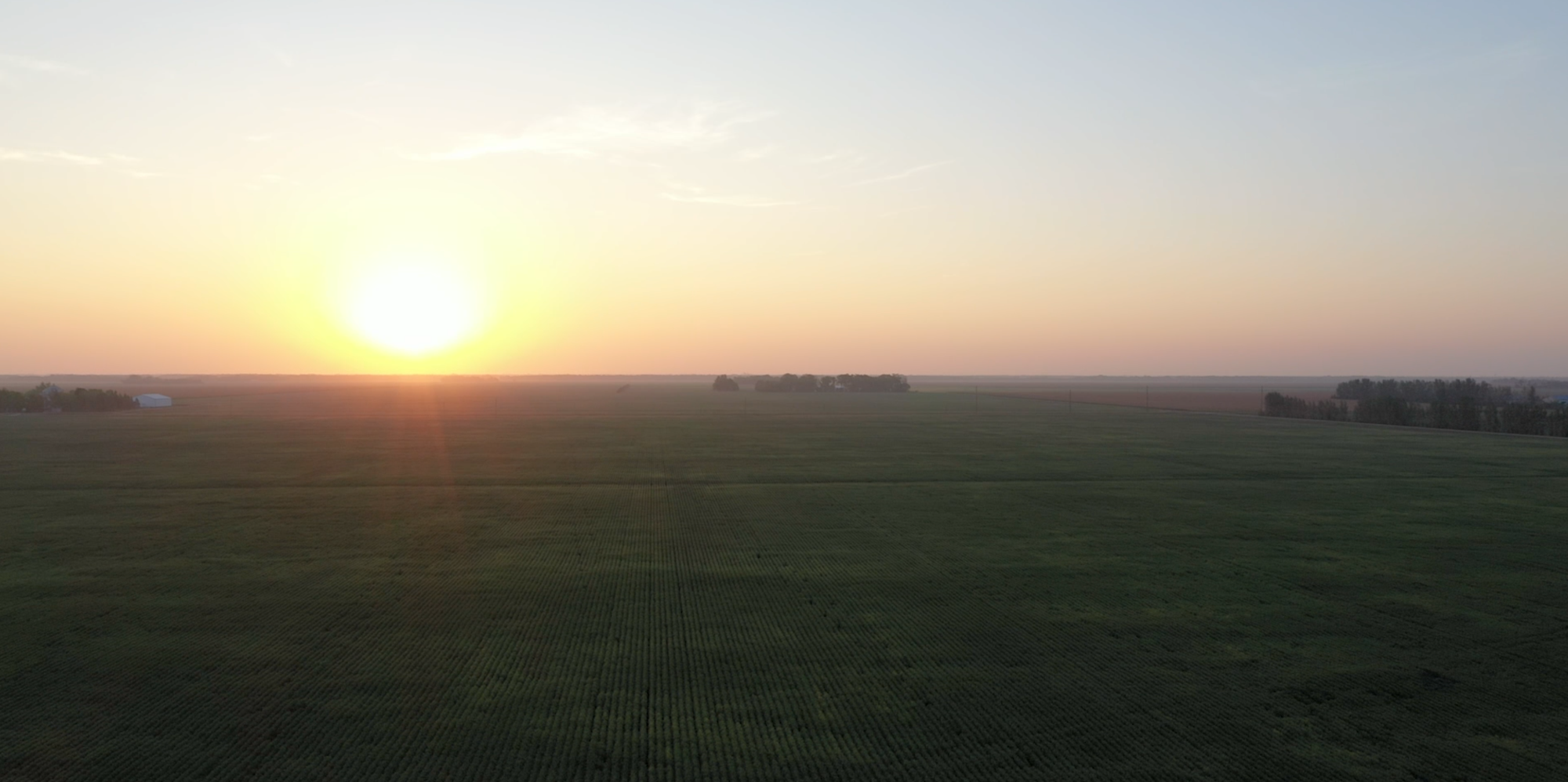 Aerial view of rural Cass County looking over a field with the sun setting in the distance